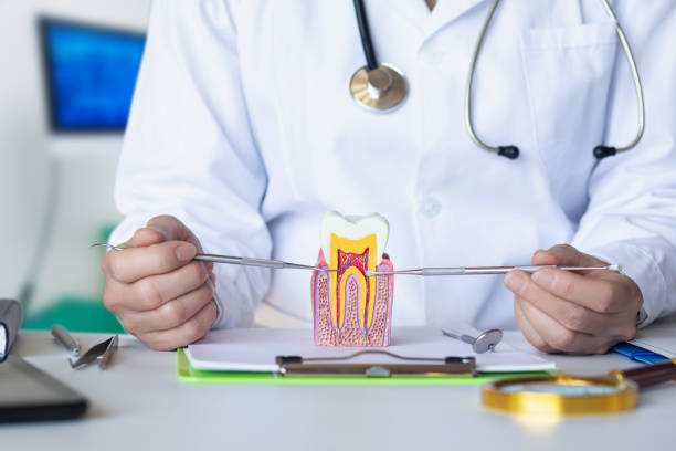 Best Knocked-Out Tooth Emergency  in Hartford, KY